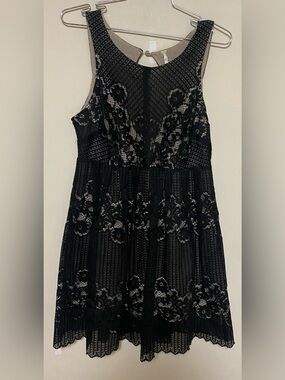 bebe Black Lace Mini Dress with Floral Overlay